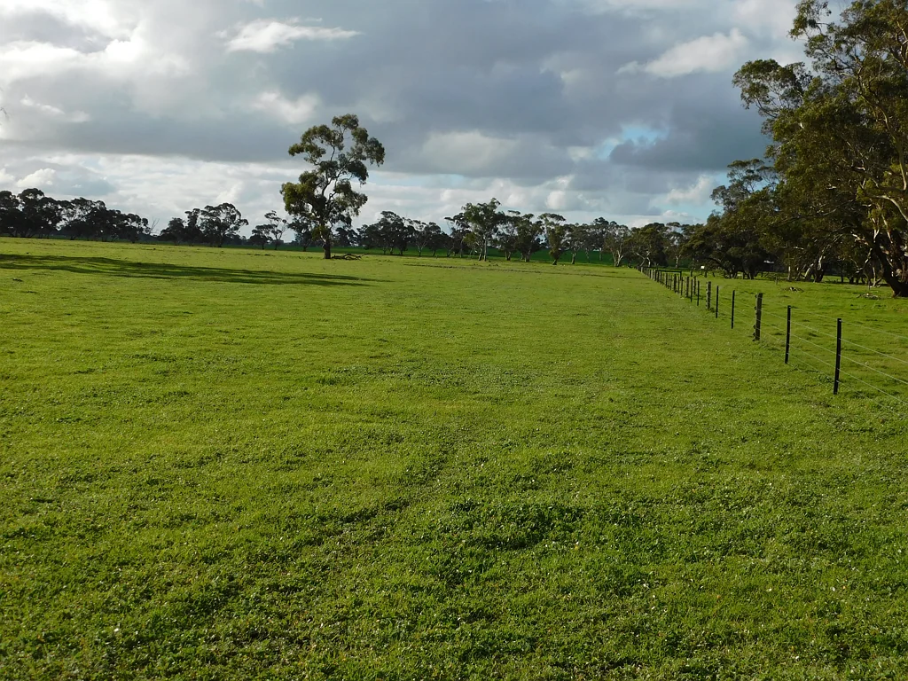 Bordertown Genuine Mixed Farming / Irrigation Property