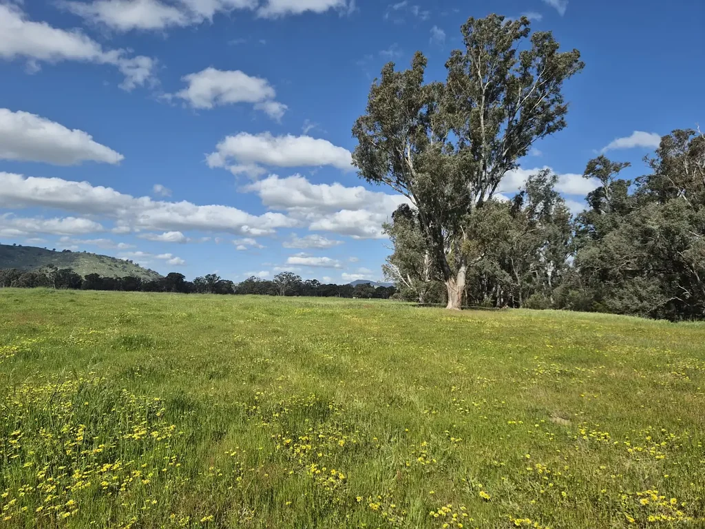 Euroa  Approved Planning Permit -Rare Find - Prime 42.9 Acres –  4.5 km's to Euroa  – Creek Frontage