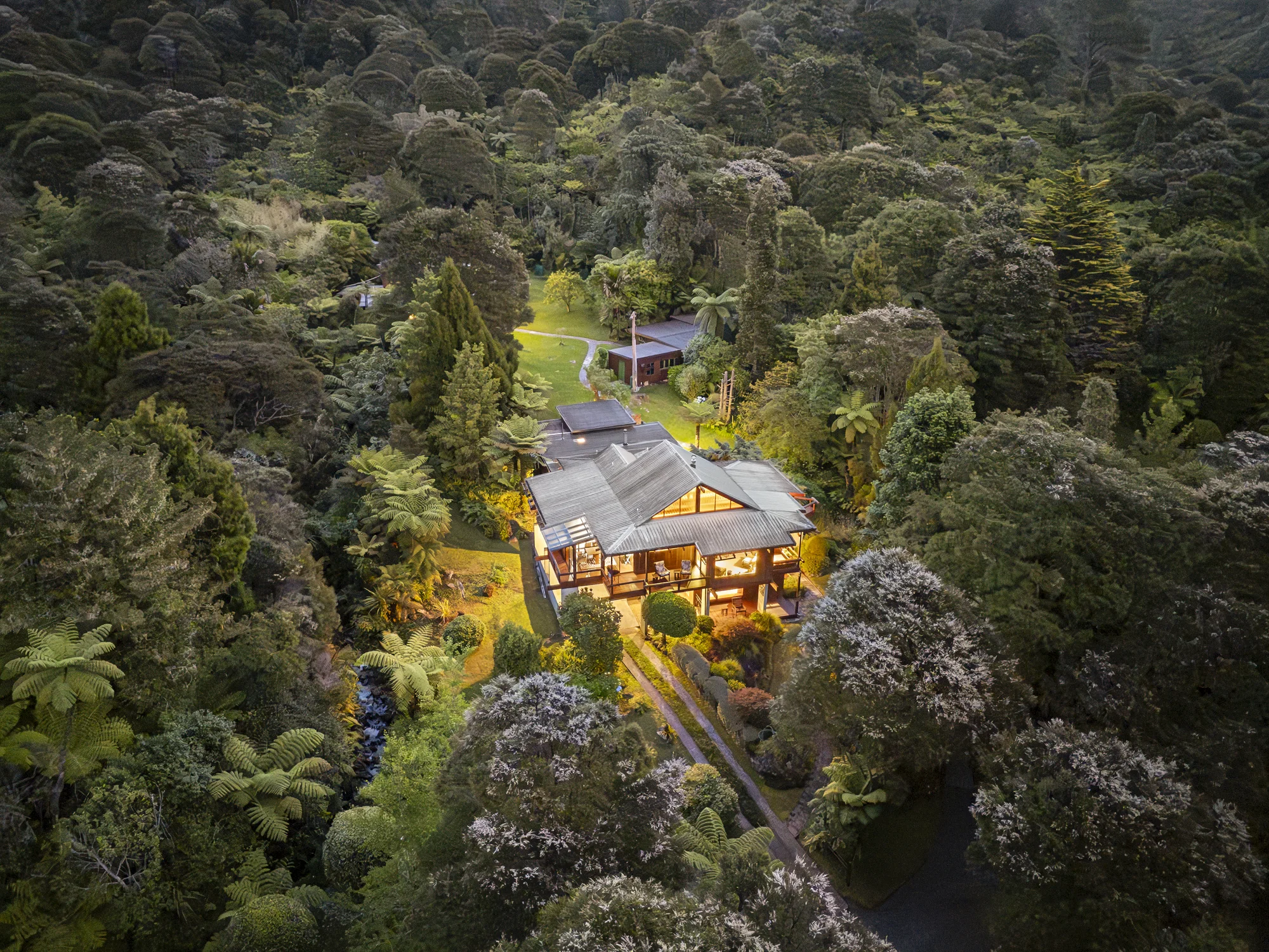 Coromandel Forest Park Rapaura Watergardens