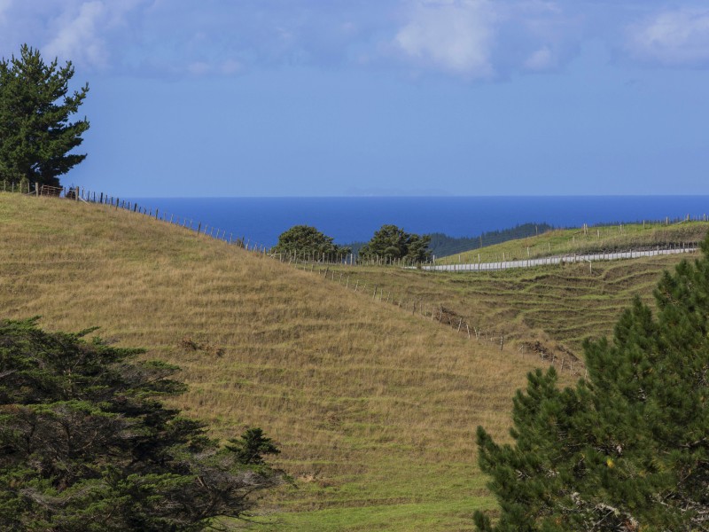 19 Cemetery Road, Maunu, Whangarei, 5 Kuwarto, 0 Banyo