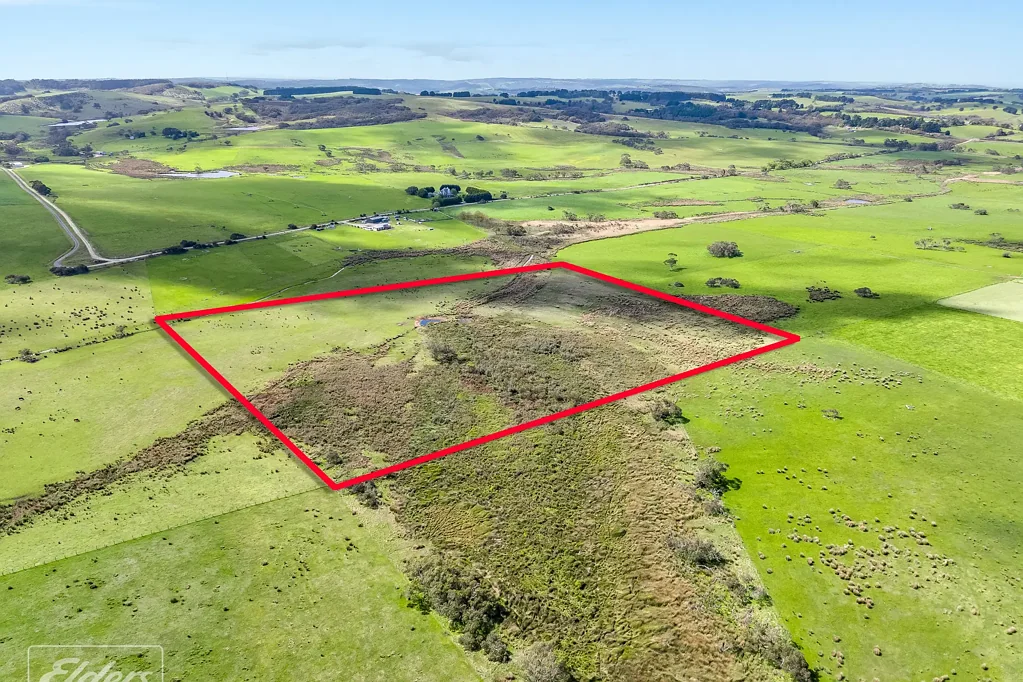 Mount Jagged  Discover Your Own Rural Paradise on 20 Acres of Stunning Land!