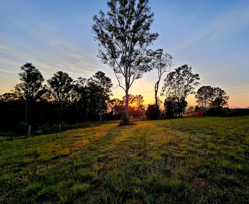 44 McIntosh Creek Road, Jones Hill, QLD 4570