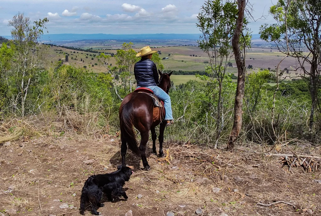 Mount Colliery  "HILLVIEW" Spectacular Elevated Views, Acreage, The Ultimate Weekender