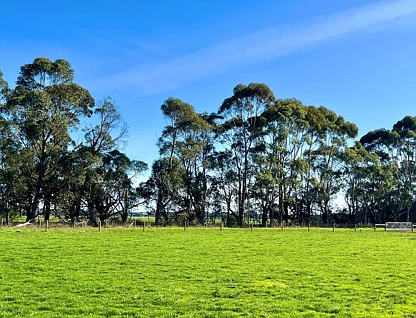 Cobden-South Ecklin Road, Cobden, Warrnambool and South West, 0房, 0浴, Lifestyle Property