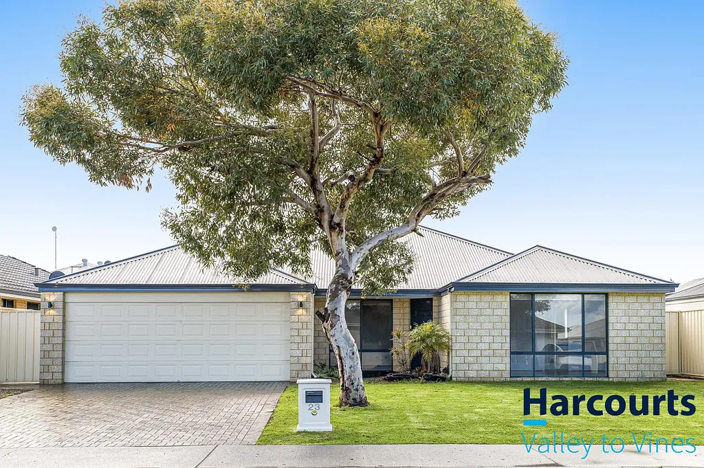 23 Sundowner Meander, Banksia Grove, WA 6031