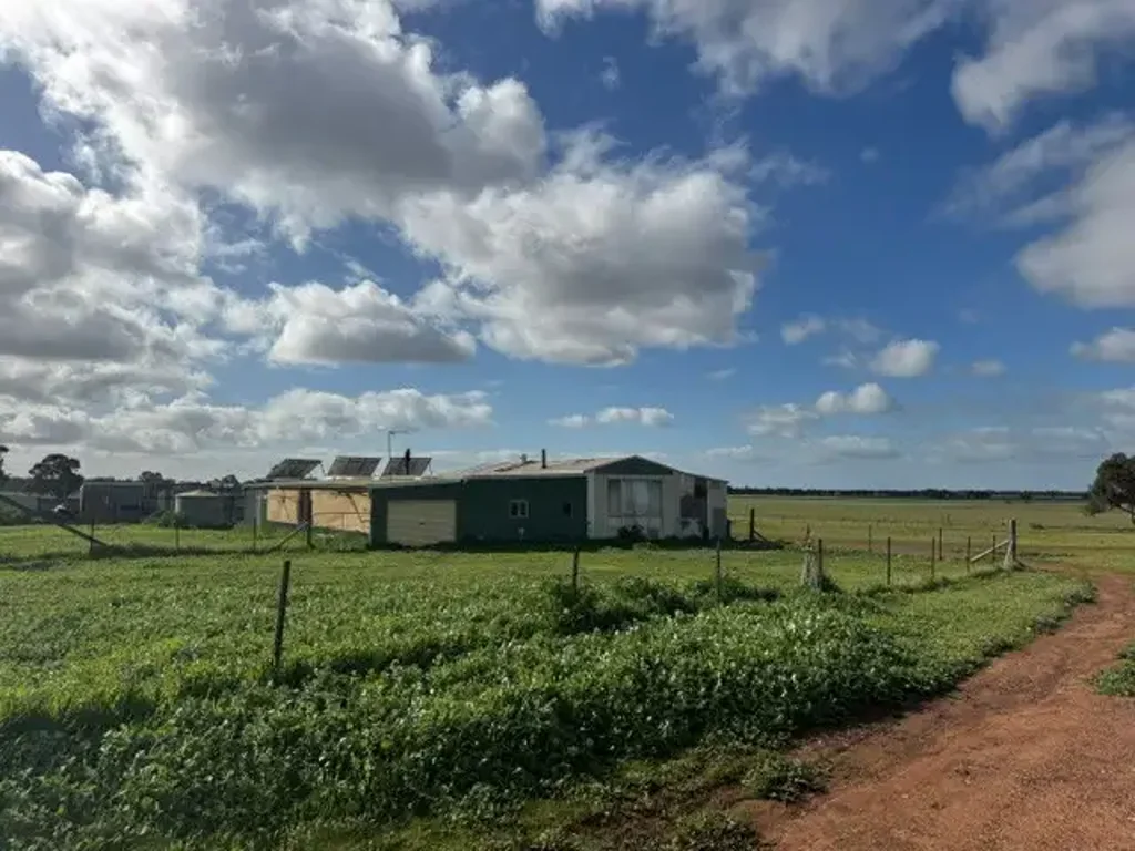 Borung  171.5 ACRES OF QUALITY GRAZING & CROPPING COUNTRY - READY TO WORK.