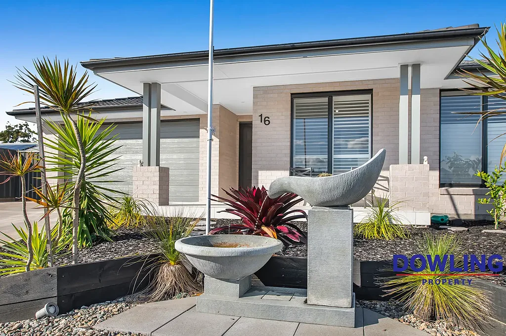 16 Manna Street, Medowie, NSW 2318