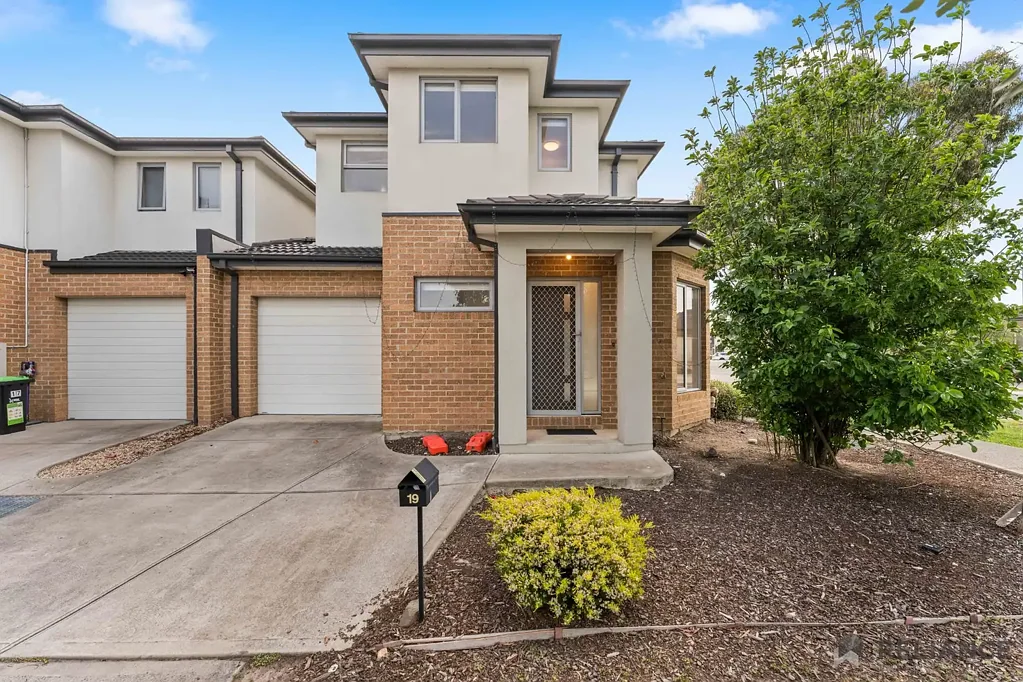 Sunlight, Style, and a Sense of Home – Plus 1 Week Free Rent!