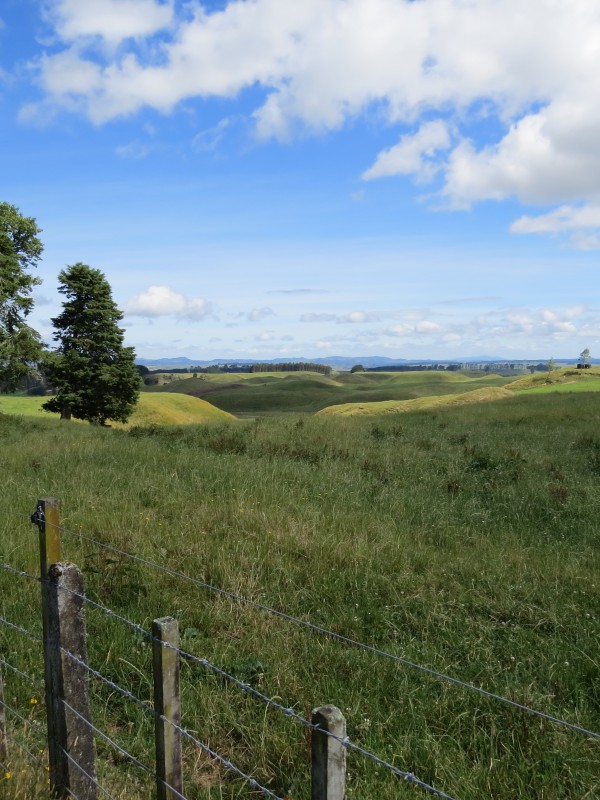 671 Sandel Road, Mangakino, Taupo, 0房, 0浴