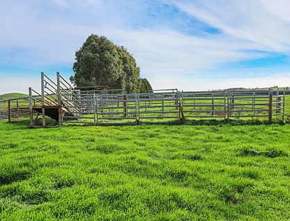 Seymour Park Aggregation, Heywood, Portland and Glenelg Shire, 0 ห้องนอน, 0 ห้องน้ำ, Lifestyle Property