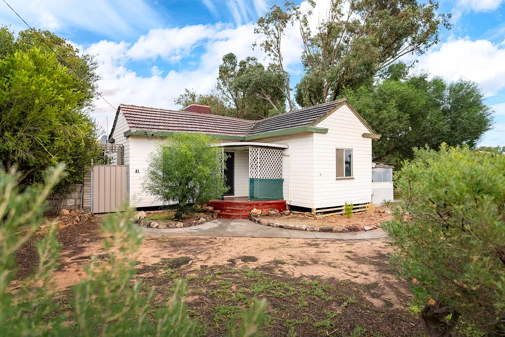 41 Harrison Street, Bluff Point, WA 6530