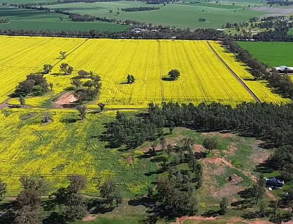 2 Coolamon Road, Coolamon, NSW 2701, 0 غرف, 0 حمامات, Lifestyle Property