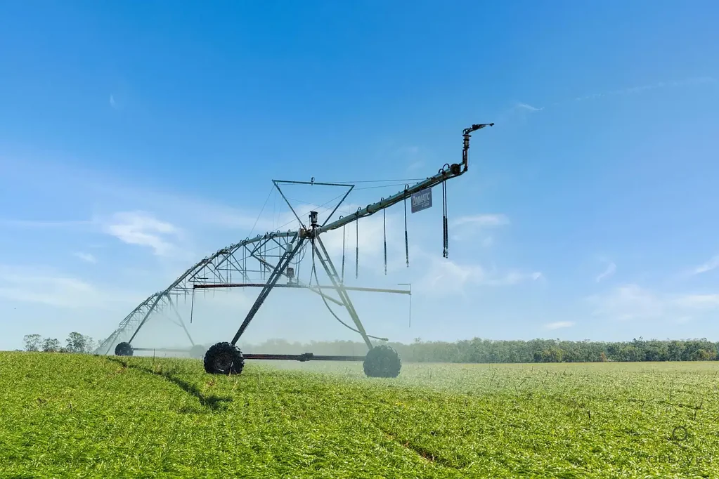 Bucca  Premium Cultivation Holding With Serious Water Security