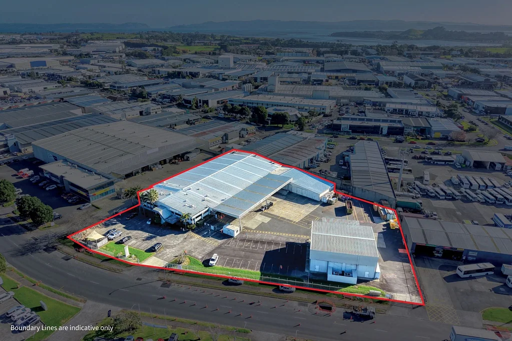 Mangere First time in 40 years - rare Airport Oaks gem