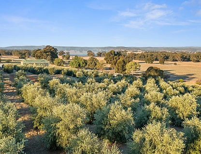 Lot 7 Sargeant Street Thoona via, Benalla, Wangaratta, 0部屋, 0バスルーム, Section