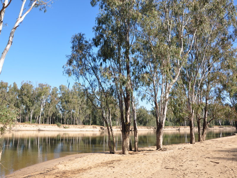 BUSHLANDS ON THE MURRAY HOLIDAY PARK UNIT 12 13 BUSHLANDS RD, TOCUMWAL NSW 2714, 0房, 0浴, Section