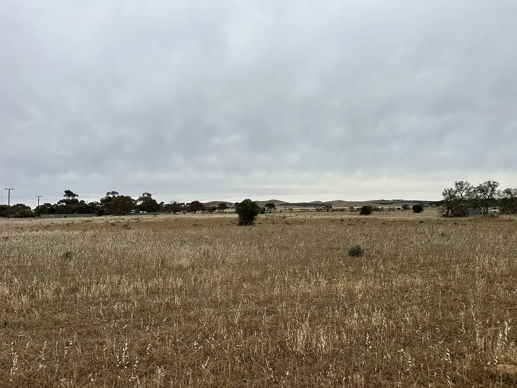 LOT Lt 92, 93, 94, 104/105 Sixth St & Lt 106 Fourth St, Whyte Yarcowie, SA 5420