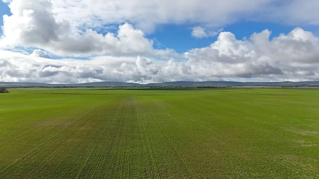 401 Mundoora-Wokurna Rd, Mundoora, SA 5555