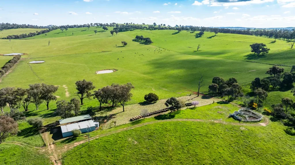 Bungowannah "Kenyon"