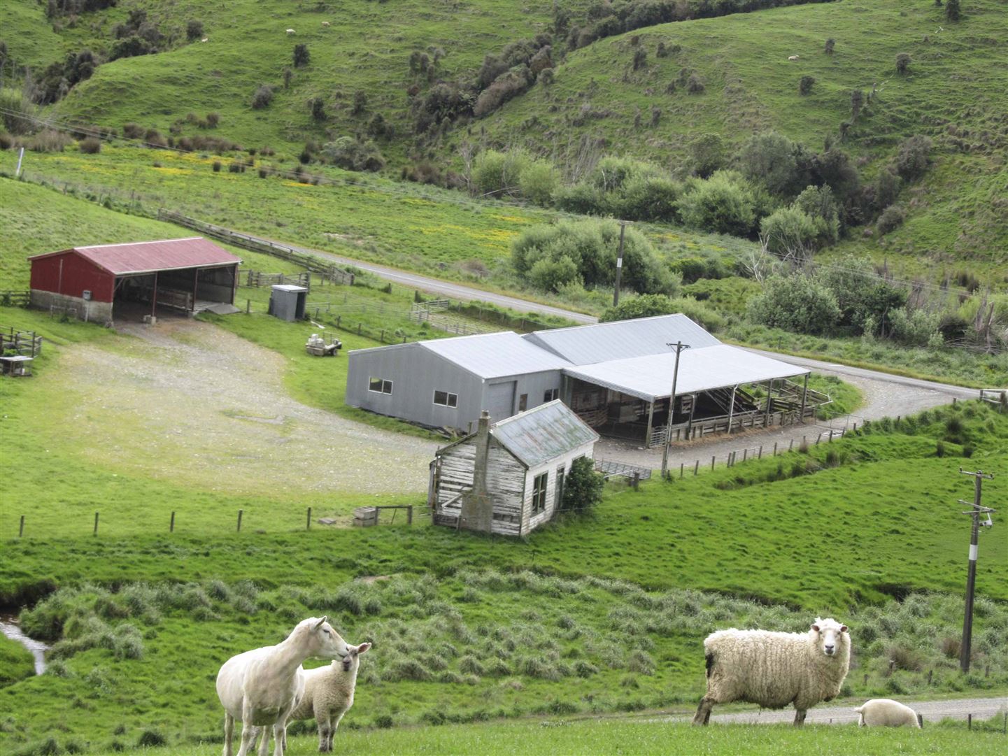 348 Happy Valley Road, Tuatapere, Southland, 0房, 0浴, Dairy