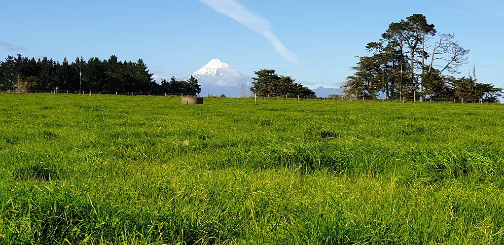 Waitara Quality Land in Brixton