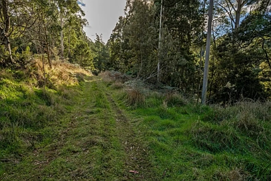 Adres Weerhou, Wilmot, TAS 7310, 0 slaapkamers, 0 badkamers, Lifestyle Property