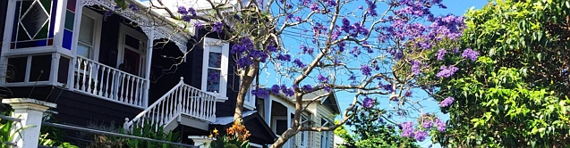Grey Lynn