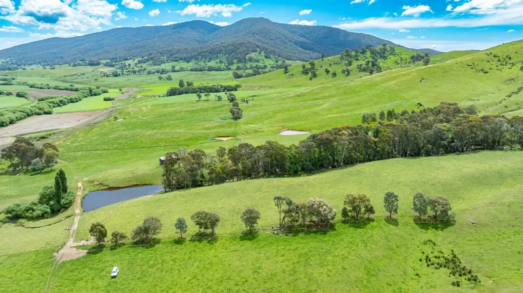 Dederang  "Valley Views"
