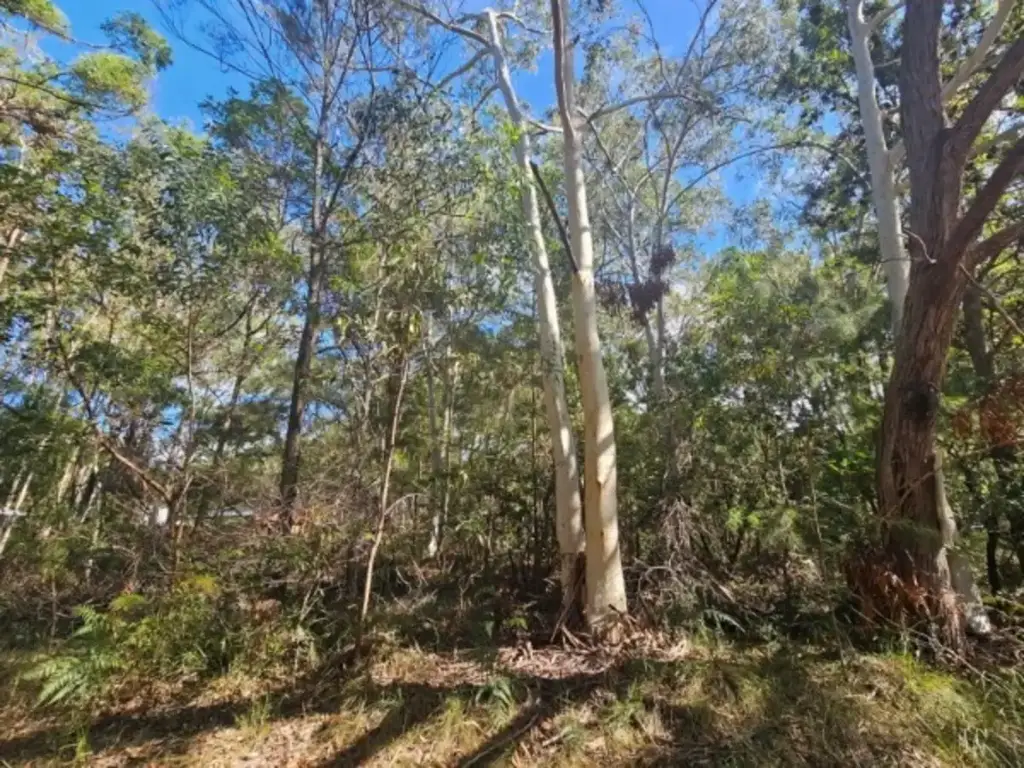 Russell Island Natural Bushland Block