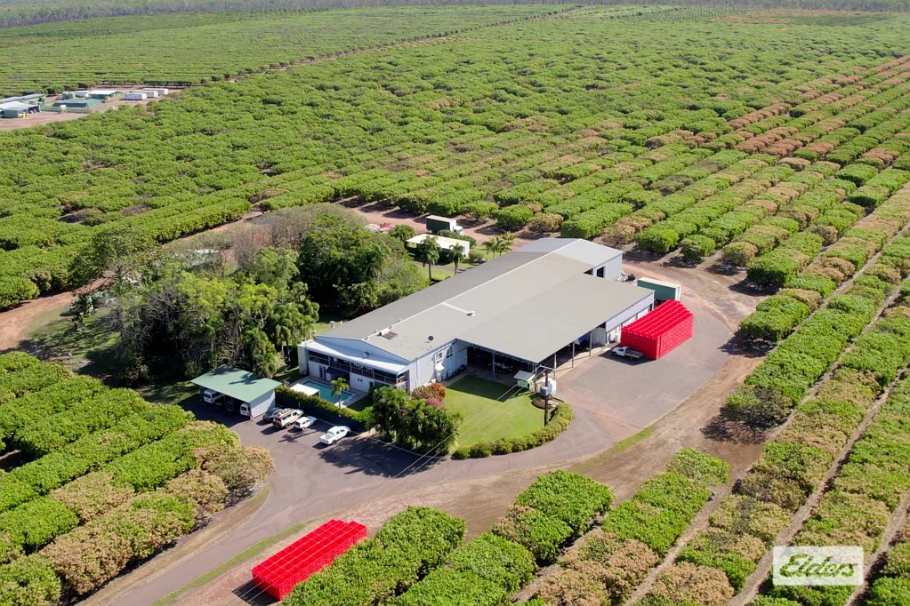Lambells Lagoon  ARNHEM MANGOES - PREMIUM HORTICULTURAL OPERATION
