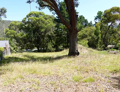 6 Trout Stream Way, Macs Cove, VIC 3723, 0房, 0浴, Section
