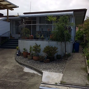 Residential  Terrace Housing and Apartment Building Zone