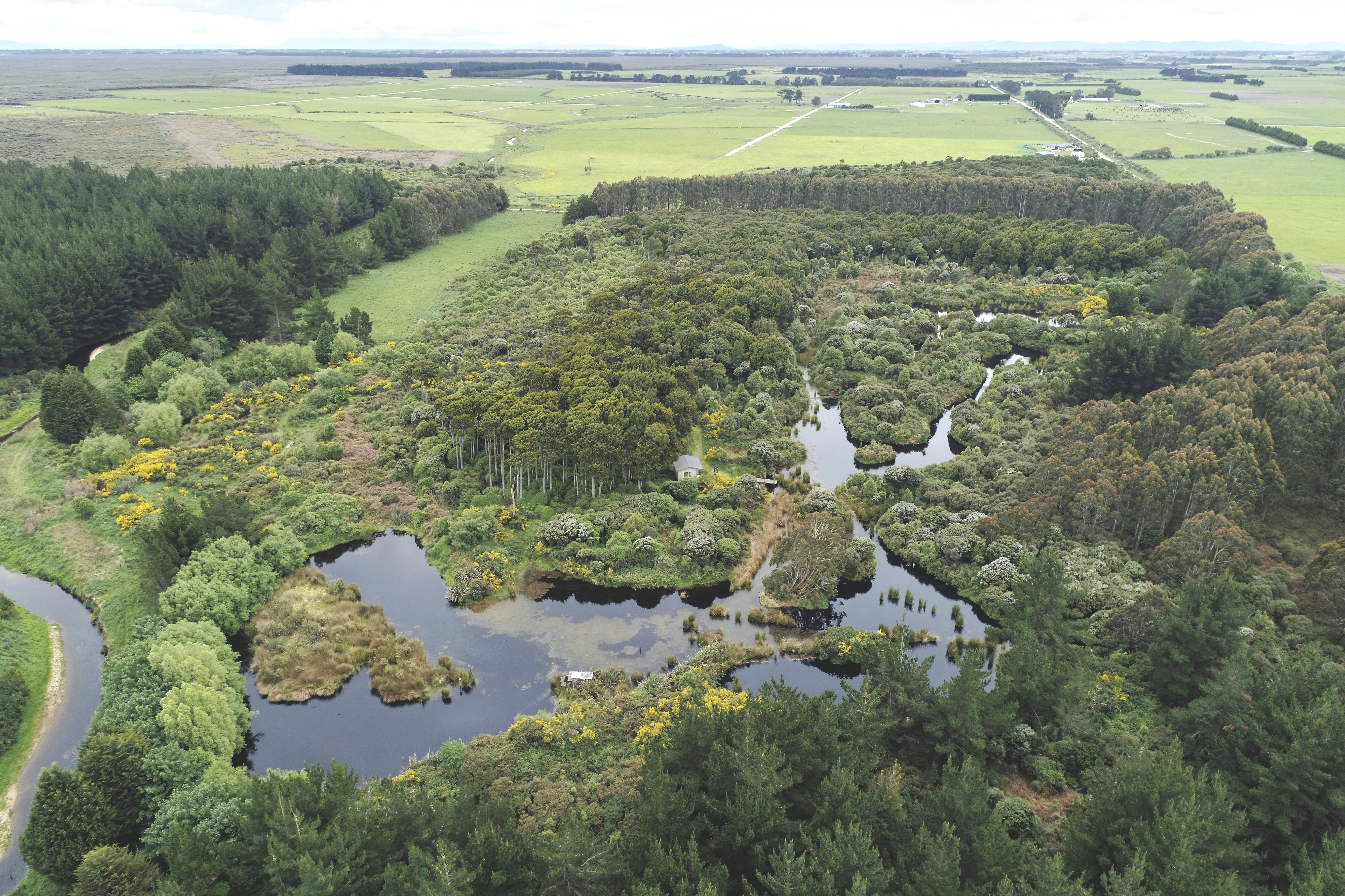 600 Marshall Road, Awarua Wetlands, Southland, 0 Schlafzimmer, 1 Badezimmer