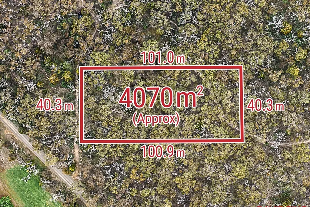 Riddells Creek  Private Bush Escape with Easy Access!