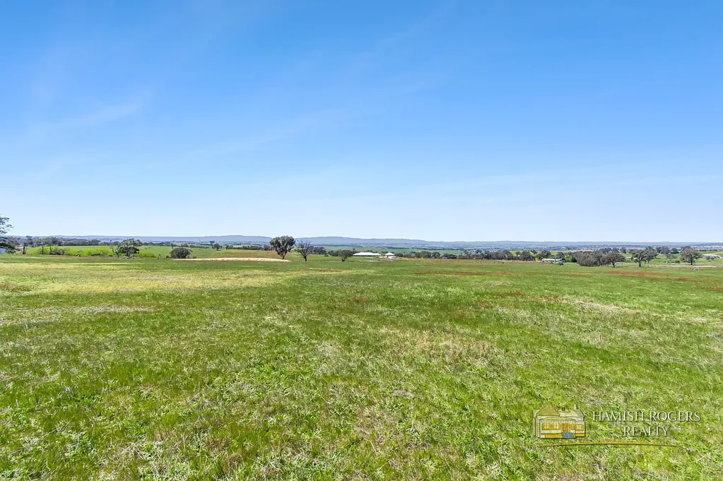 399 Mount Rankin Road, Mount Rankin, NSW 2795