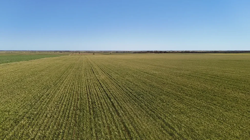 Clements Gap Quality Cropping Country Available For Sale & Lease