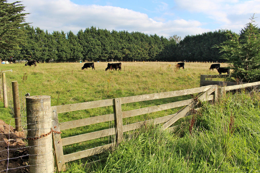 17 District Road, Kennington, Invercargill, 3 Kuwarto, 0 Banyo