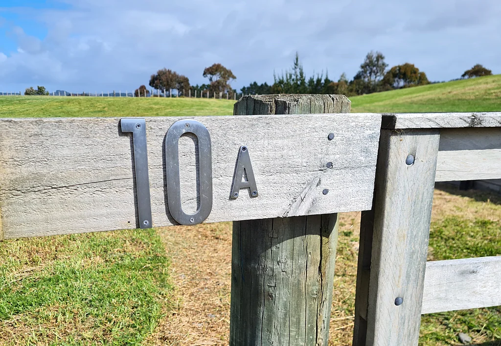 South Head  In On The Farm: