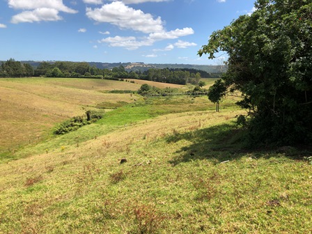 Te Ahu Ahu Road, Ohaeawai, Far North, 0房, 0浴