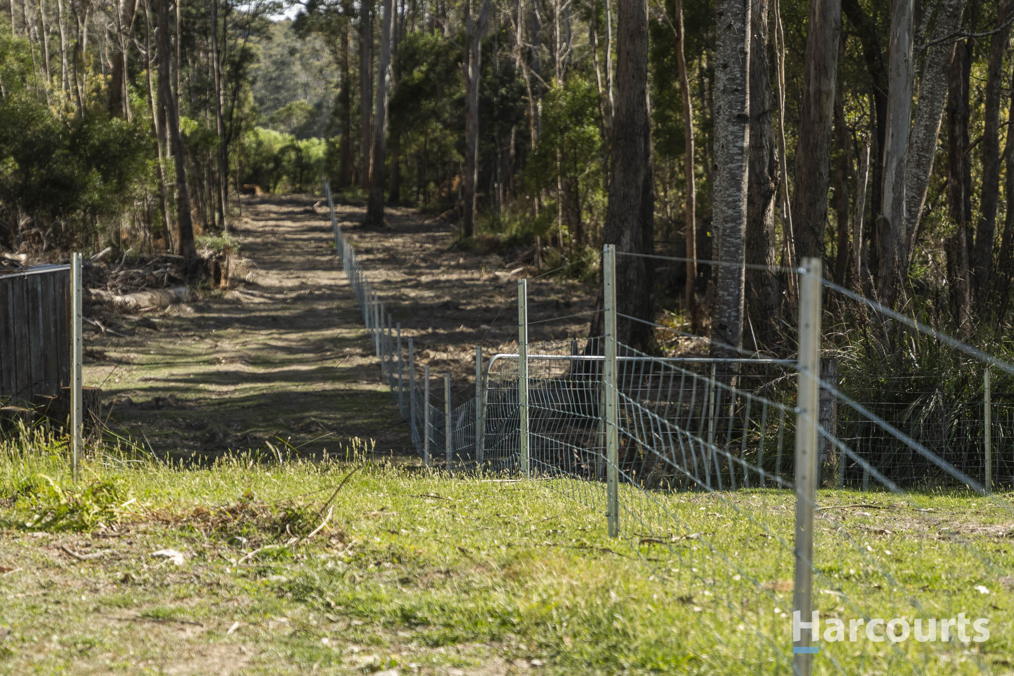 16 MEANDER VALLEY RD, WESTBURY TAS 7303, 0 phòng ngủ, 0 phòng tắm, Section