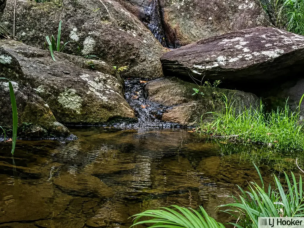Jubilee Heights  Private Rainforest Sanctuary – Approx. 1 Acre in Jubilee Heights