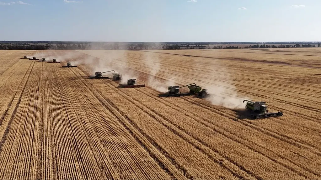 Goondiwindi  INSTITUTIONAL DRYLAND CROPPING ENTERPRISE & GRAIN RECEIVAL SITE