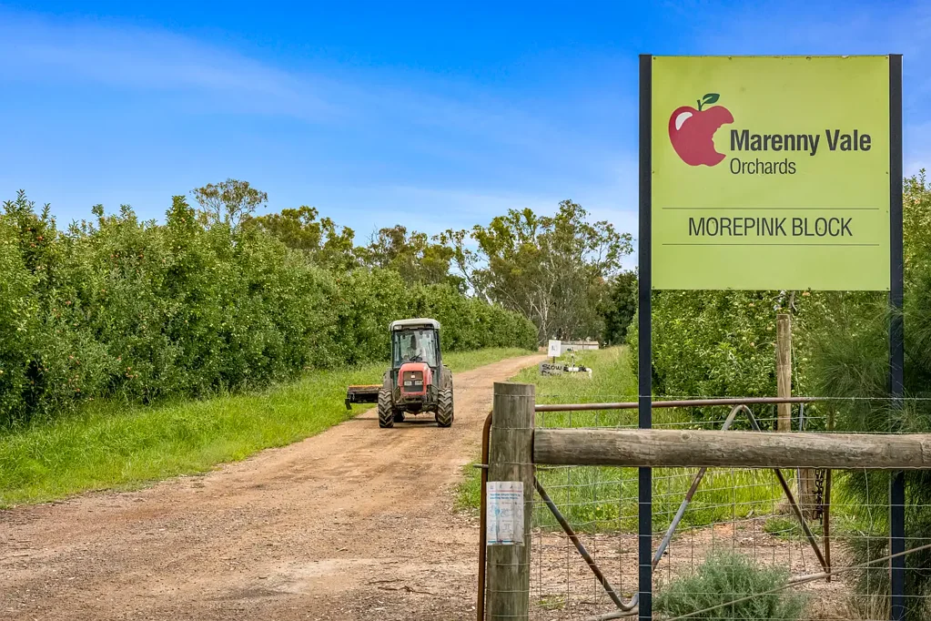 Nathalia The "Marenny Vale" orchard