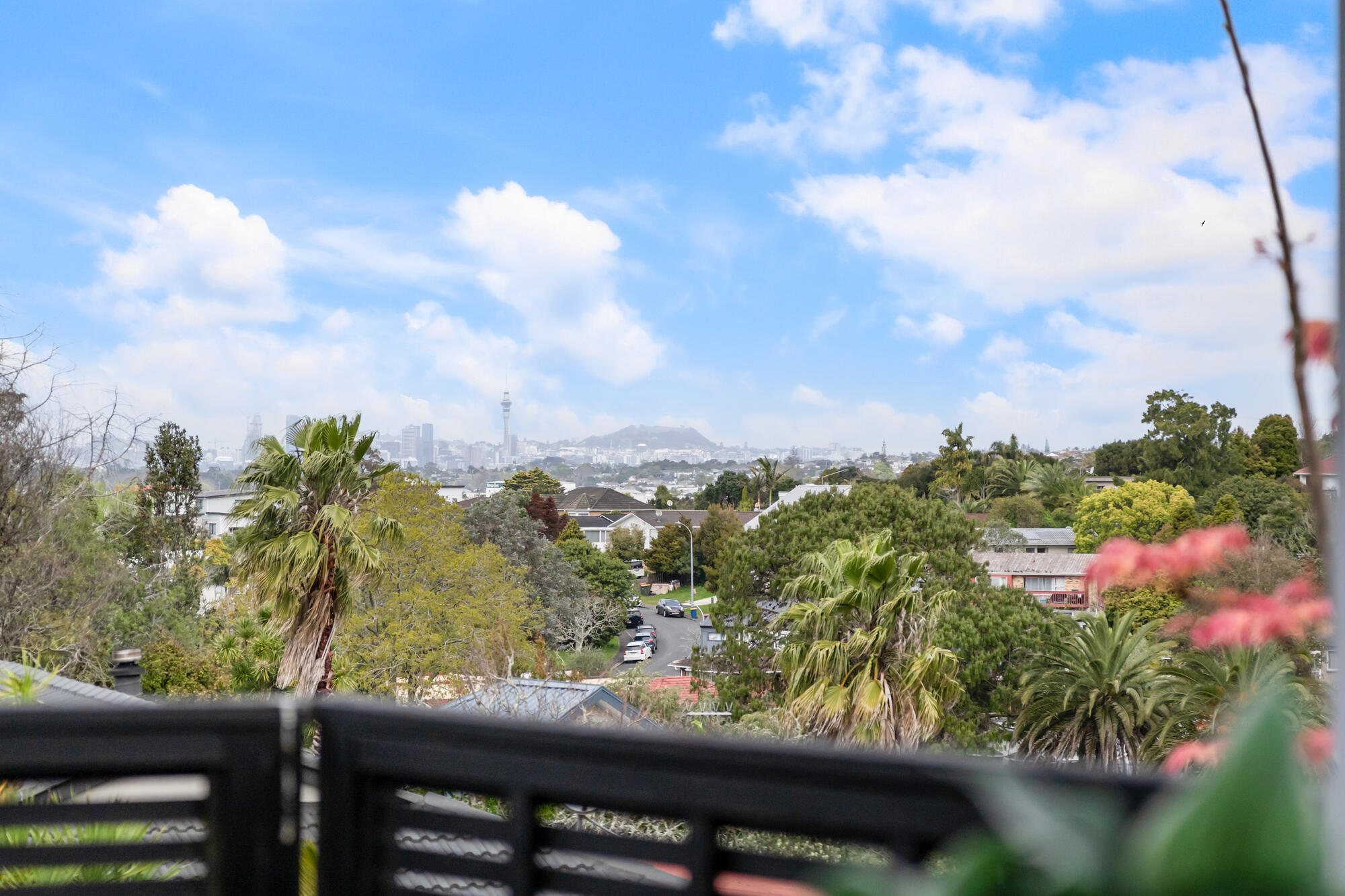 45 Sycamore Drive, Sunnynook, photo 20