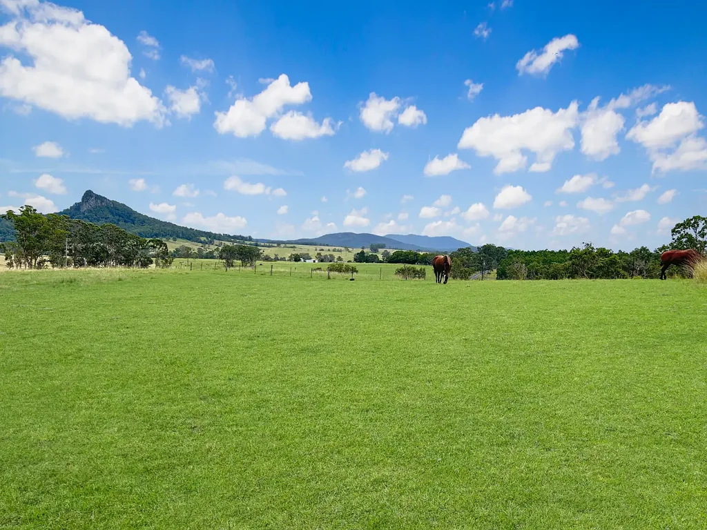 Urbenville 1 Bedroom Scenic Rural Lifestyle Block