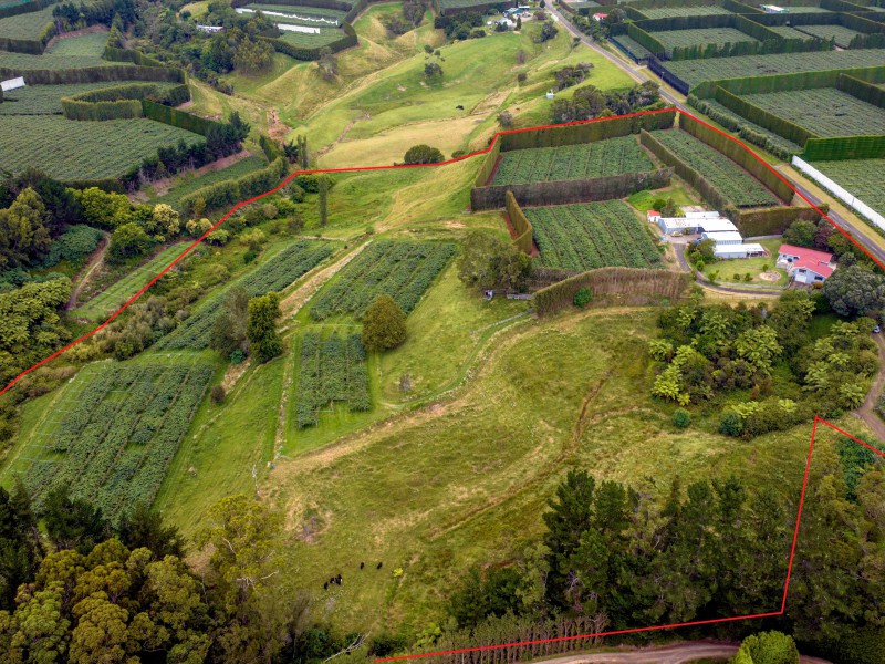 225 Tablelands Road, Opotiki Coastal, Opotiki, 0 Schlafzimmer, 0 Badezimmer