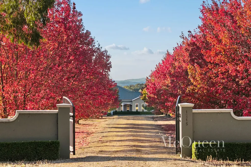1215 Daylesford Malmsbury Road, Denver, VIC 3461