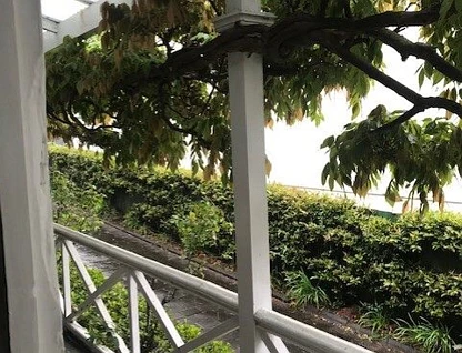 地址保密, Epsom, Auckland City, 3房, 1浴, Share