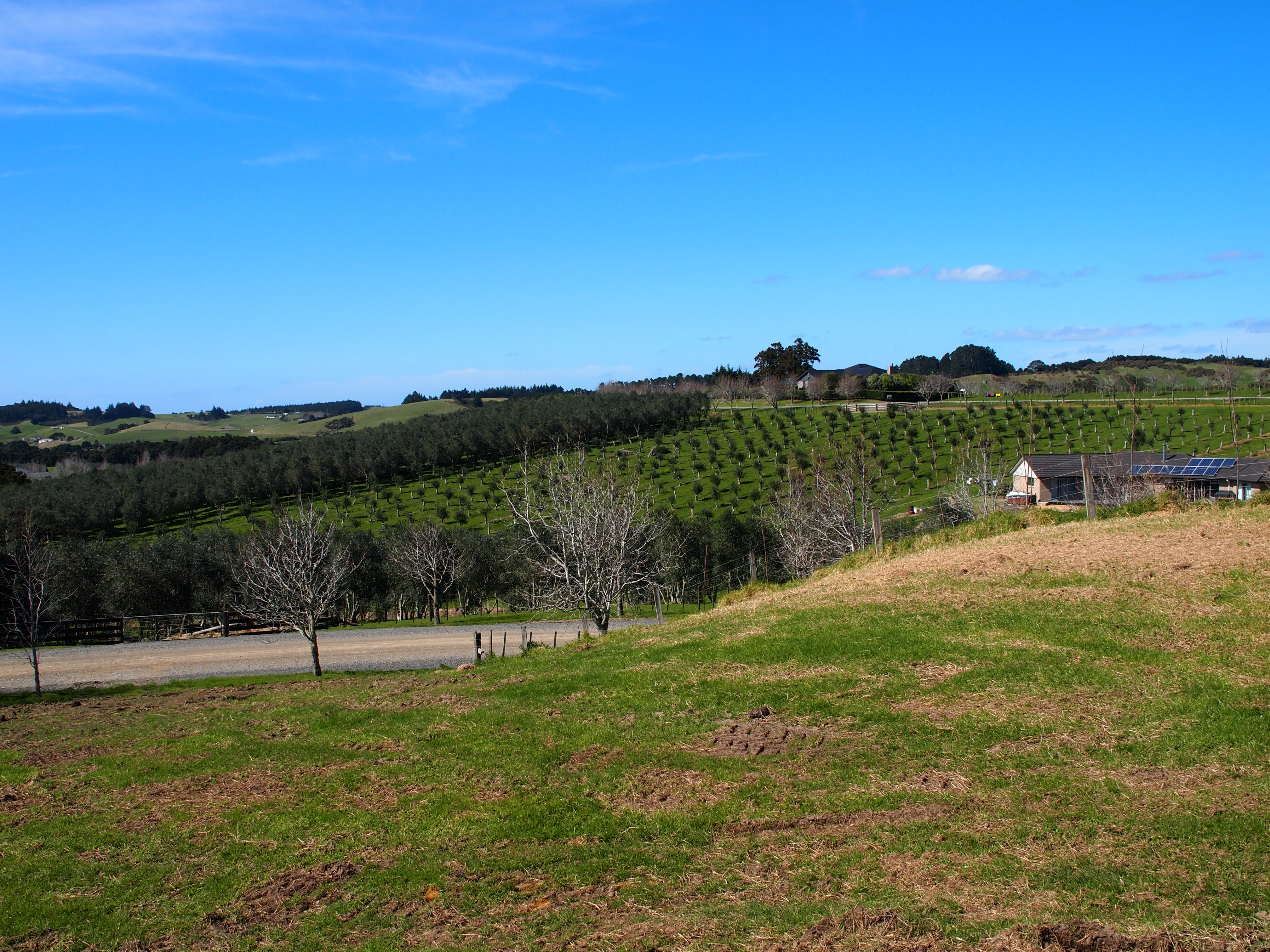 199 King Road, Mangawhai, Kaipara, 0 Schlafzimmer, 0 Badezimmer