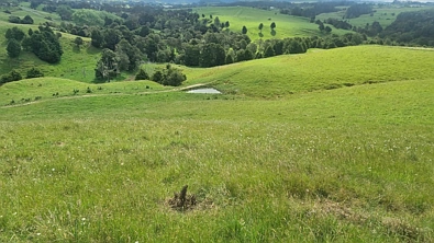 Okokako Road, Waimate North, Far North District, 0房, 0浴, Lifestyle Section